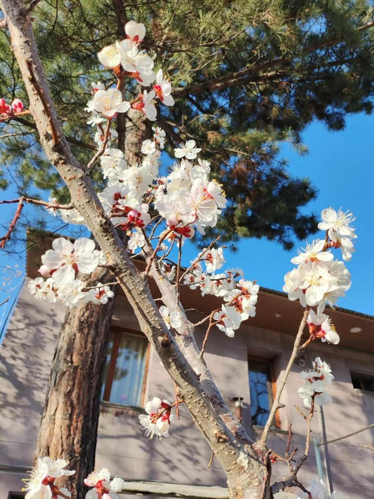Mashtots Vanadzor