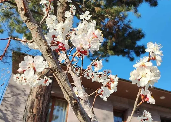 Mashtots B&B