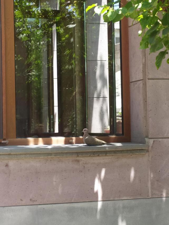 Mashtots Appartement